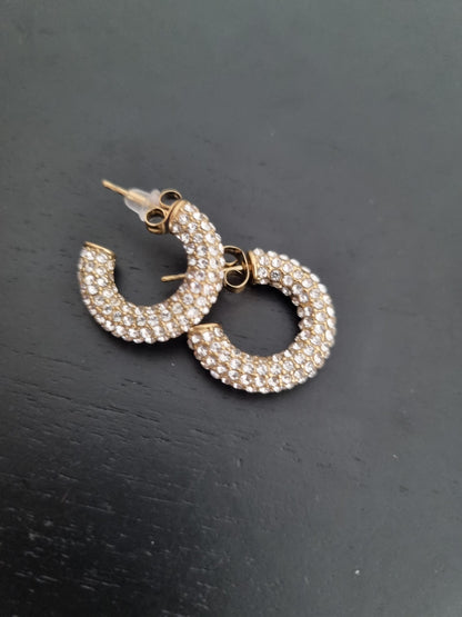 Brincos Shiny Hoops